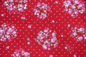21st Party 2010 031