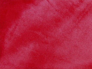 Minky Burgundy